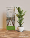 Roll Up Banner Mockup In Interior Scene With A Plant Beside It Psd