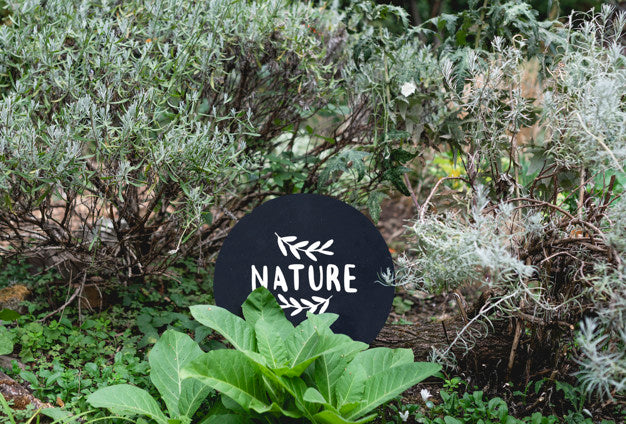 Round Signage In The Garden Psd