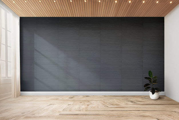 Rubber Fig In A Gray Room Psd