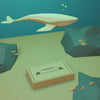 Sea Life And Cardboard Box Underwater With Mock-Up Psd