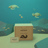 Sea Life And Cardboard Box Underwater With Mock-Up Psd
