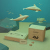 Sea Life And Cardboard Boxes Underwater With Mock-Up Psd