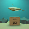 Sea Life And Paper Box With Mock-Up Concept Psd