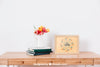Spring Mockup With Frame Next To Flower Pot Psd