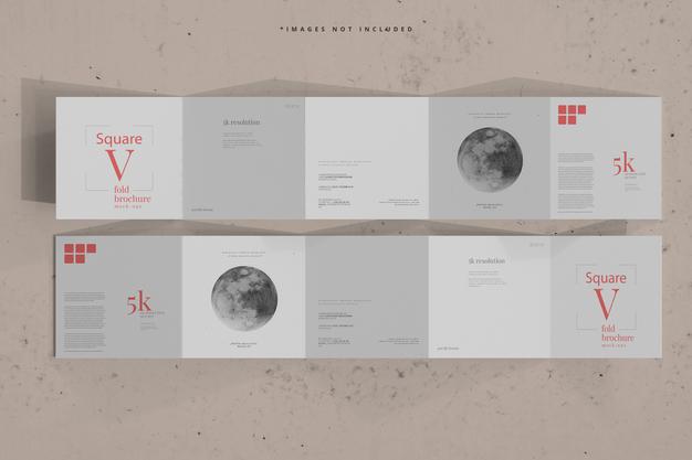 Square Five Fold Brochure Mockup Psd