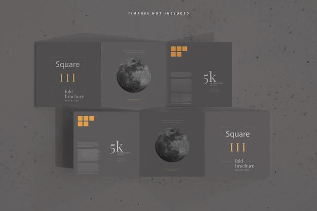 Square Tri Fold Brochure Mockup Psd