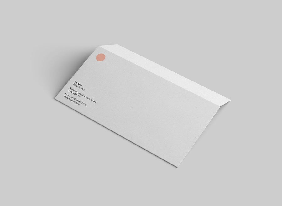 Standard Dl Envelope Mockup