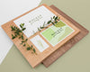 Stationery And Plant Arrangement High Angle Psd