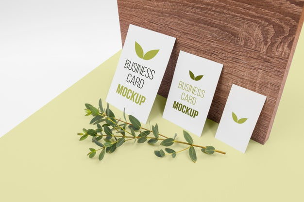 Stationery And Plant Arrangement Psd