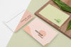 Stationery And Plant Assortment Psd
