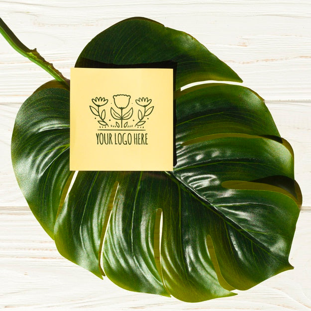 Stationery Minimal Concept Mock-Up Psd