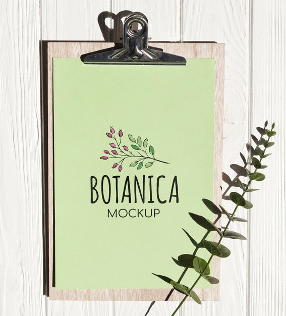 Stationery Minimal Concept Mock-Up Psd