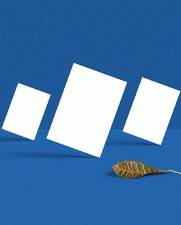 Stylish A4 Flyer Mockup Psd