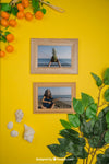 Summer Concept With Frames And Oranges Psd