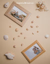 Summer Concept With Frames And Seashells Psd