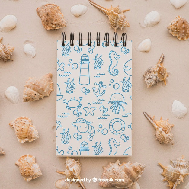 Summer Concept With Notepad And Mollusks Psd