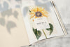 Sunflower On A Magazine Mockup With A Blank Space Psd