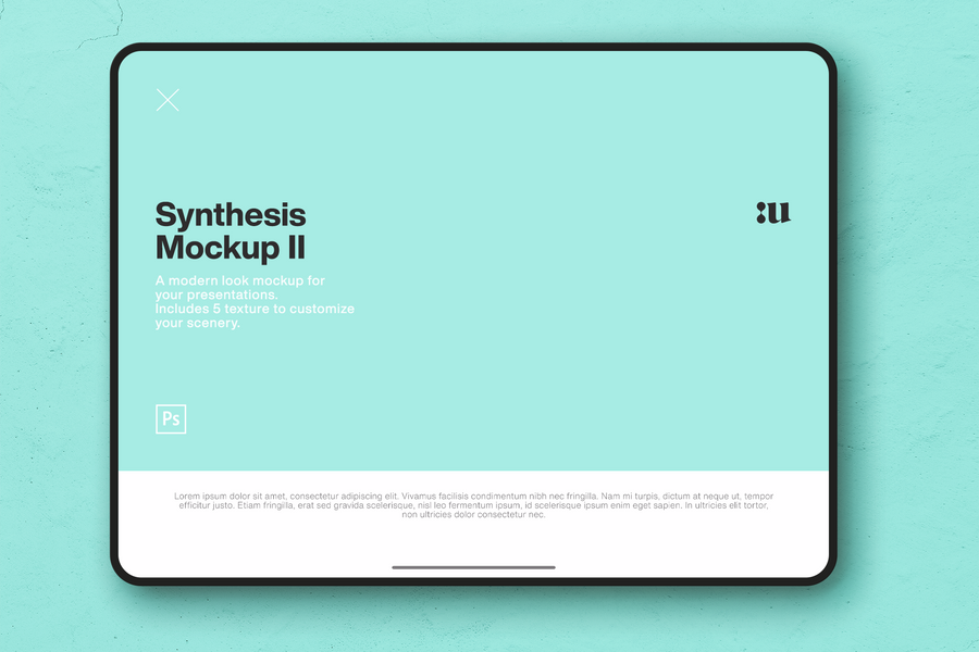 Synthesis Mockup Ii Bie
