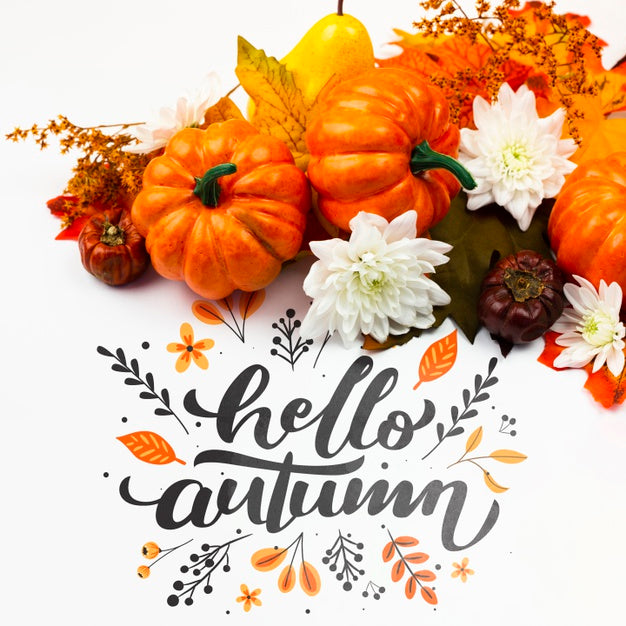 Top View Arrangement With Flowers On White Background Psd