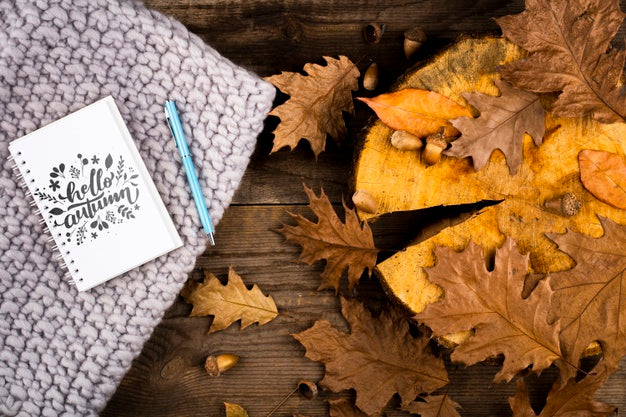 Top View Arrangement With Leaves And Stump Psd