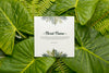 Top View Assortment Of Green Leaves With Mock-Up Psd