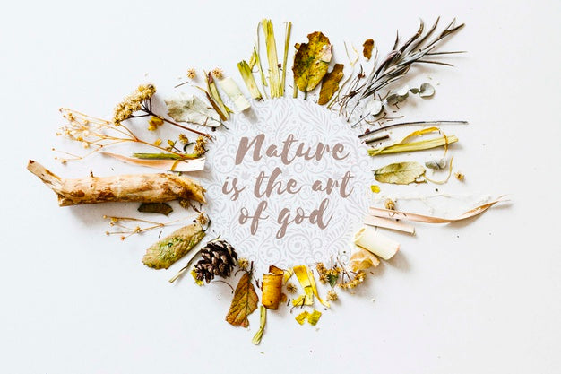 Top View Assortment Of Plants Concept Psd