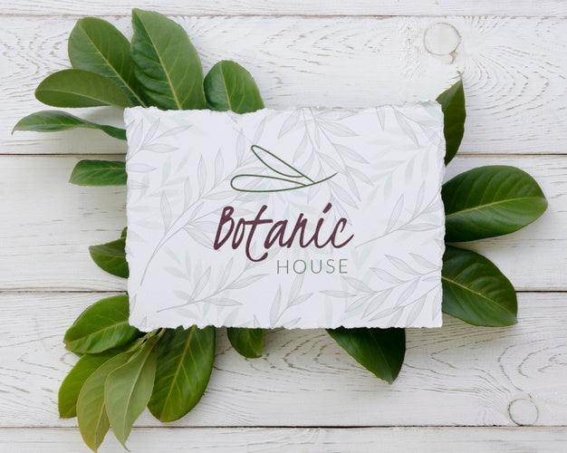 Top View Botanic House Mock-Up Concept Psd