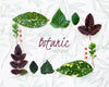 Top View Botanic Leaves Collection Psd