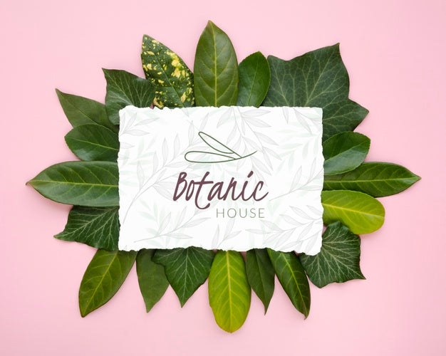 Top View Botanical Leaves With Mock-Up Psd