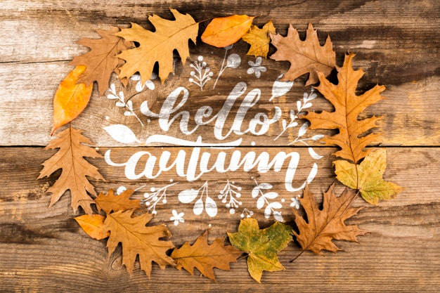 Top View Circular Frame With Colourful Leaves Psd