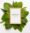 Top View Collection Of Green Leafs With Mock-Up Psd