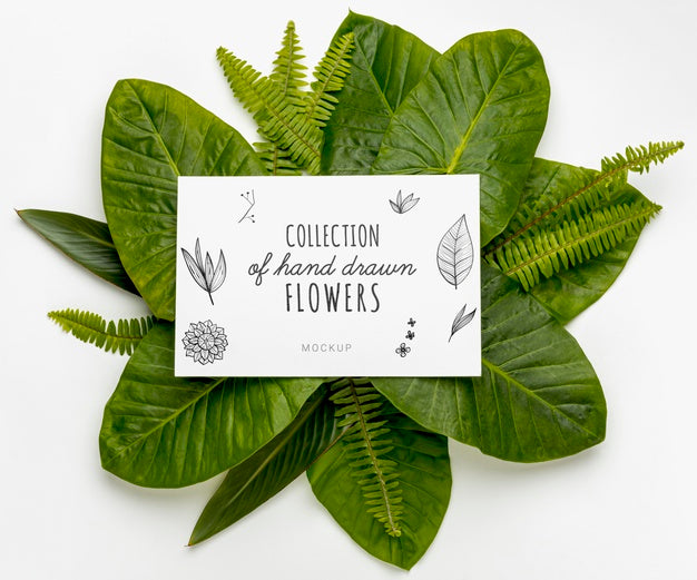 Top View Collection Of Hand Drawn Flowers With Mock-Up Psd