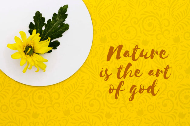 Top View Colorful Flower Concept Psd