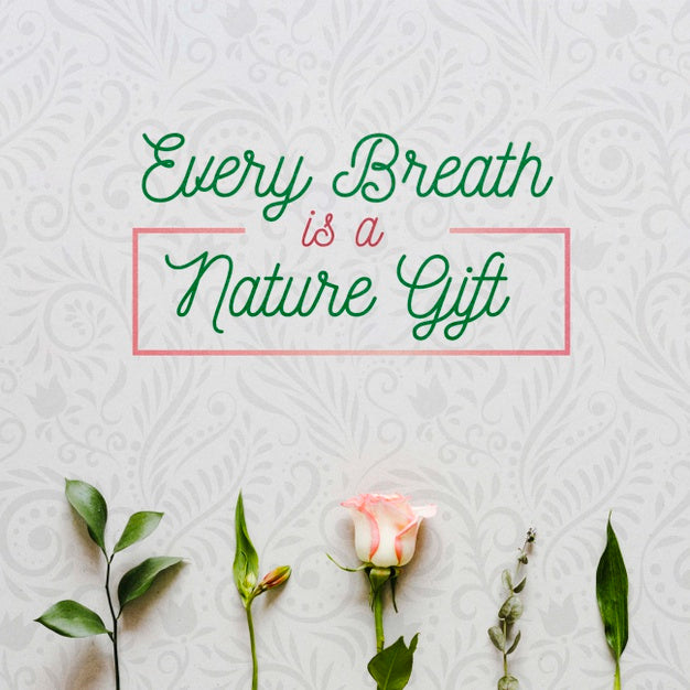 Top View Colorful Flowers Concept Psd