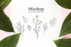 Top View Composition Of Green Leaves With Mock-Up Psd