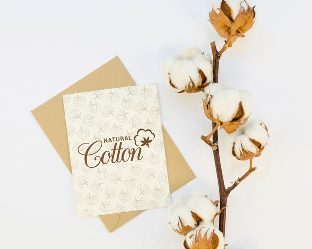 Top View Cotton Branch With Mock-Up Psd