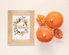 Top View Cute Fresh Pumpkins With Mock-Up Psd