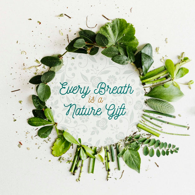 Top View Elegant Frame Made Out Of Leaves Psd