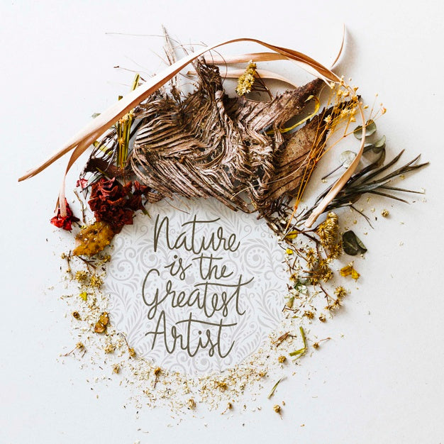 Top View Elegant Plants Concept Psd