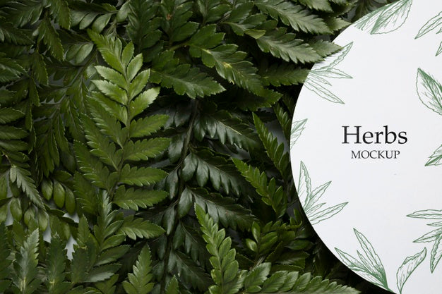 Top View Frame Surrounded By Leaves Psd