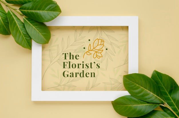 Top View Frame With Botanical Leaves Psd