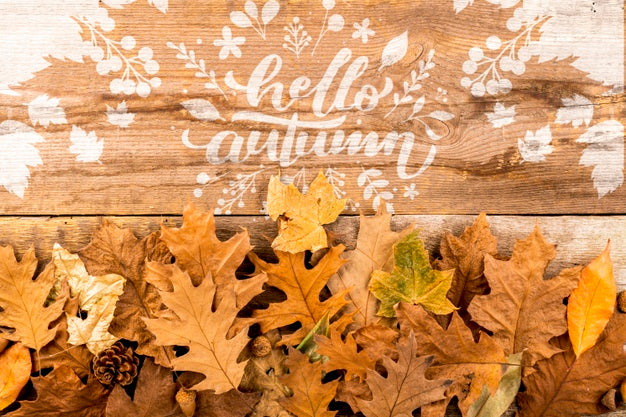 Top View Frame With Leaves And Copy-Space Psd