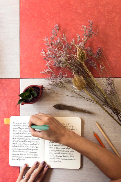 Top View Gardener Taking Notes At Studio Psd