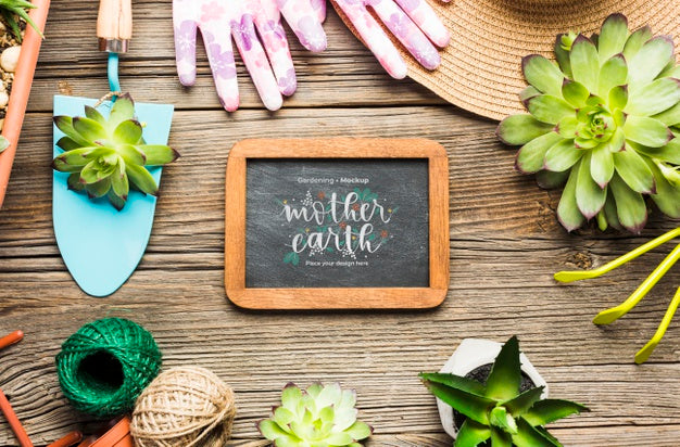 Top View Gardening Tools On Wooden Table Psd