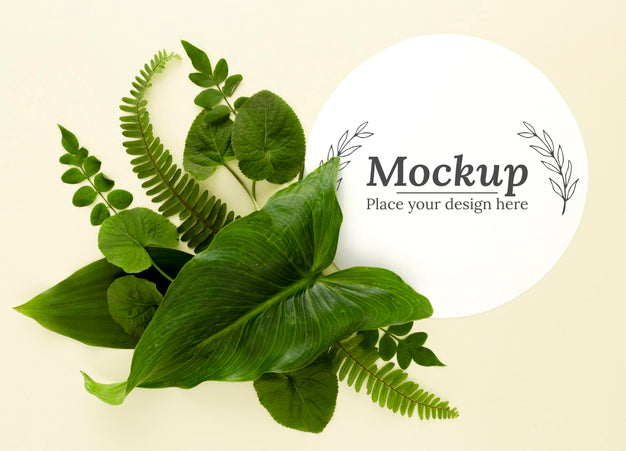 Top View Green Leaves Assortment With Mock-Up Psd