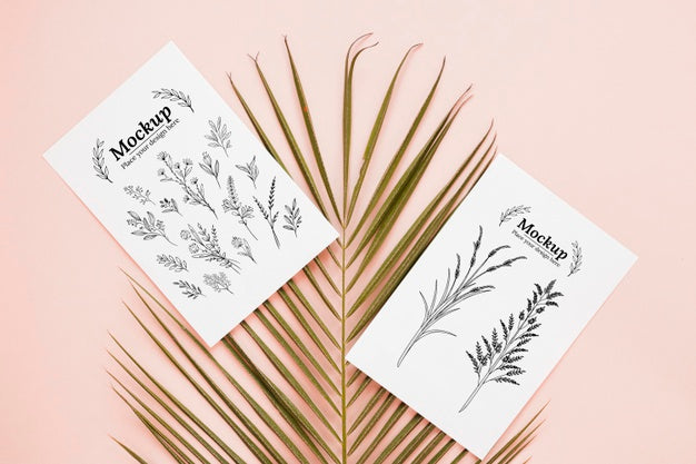 Top View Leaf And Cards Arrangement Psd