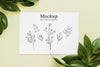 Top View Leaves And Card Arrangement Psd