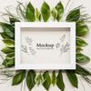 Top View Leaves Arrangement With Frame Psd