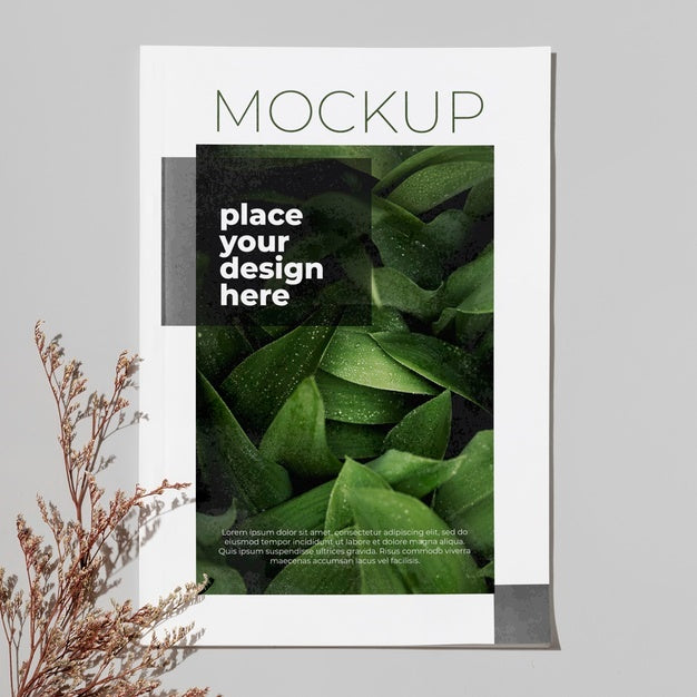 Top View Magazine And Plant Psd