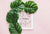 Top View Monstera Leaves With Frame Psd